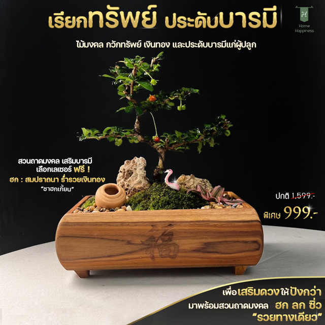 กระถางเรียกทรัพย์(ฮก เสริมรวย)+ ไม้มงคลชาฮกเกี้ยน