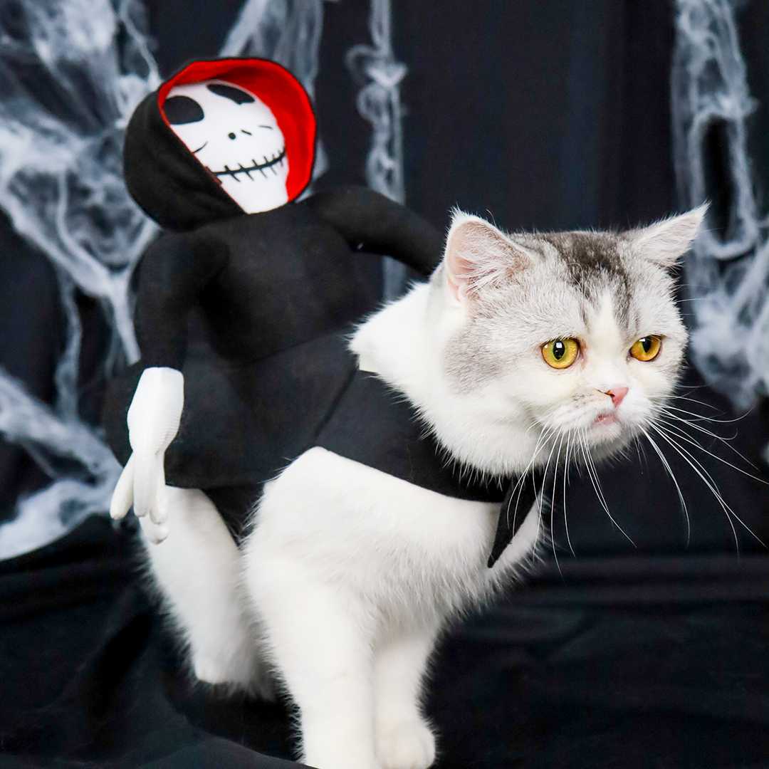 Halloween Collection - คอสตูมผีเกาะหลัง