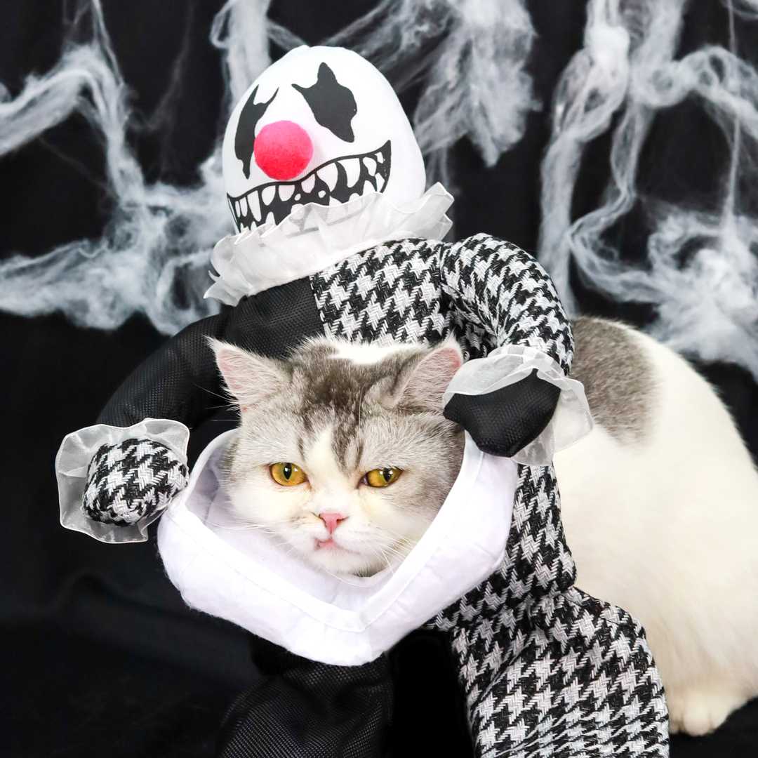 Halloween Collection - คอสตูมตุ๊กตาตัวตลก