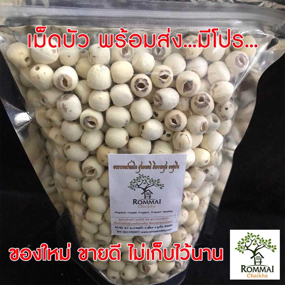 เม็ดบัวแห้ง เม็ดบัวไทยแห้ง อาหารธัญพืช เม็ดบัว อาหารแห้ง อาหารเจ อบแห้ง อาหารแปรรูป