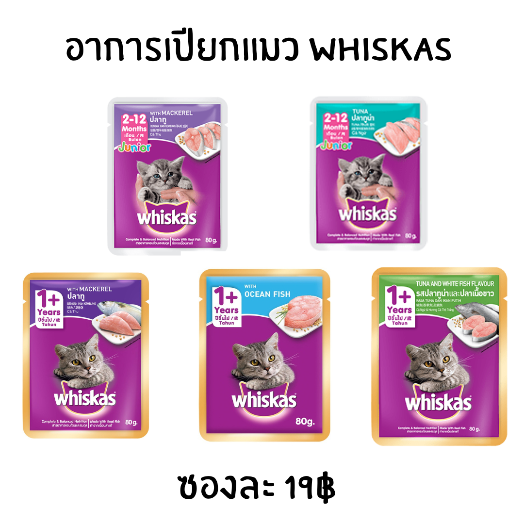 อาหารเปียกแมว whiskas อาหารแมว วิสกัส แมวเด็ก แมวโต