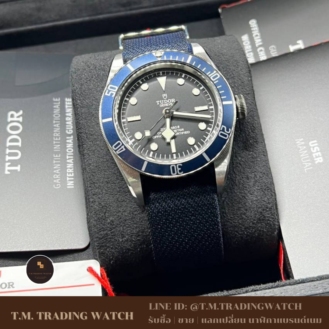 Tudor Black Bay