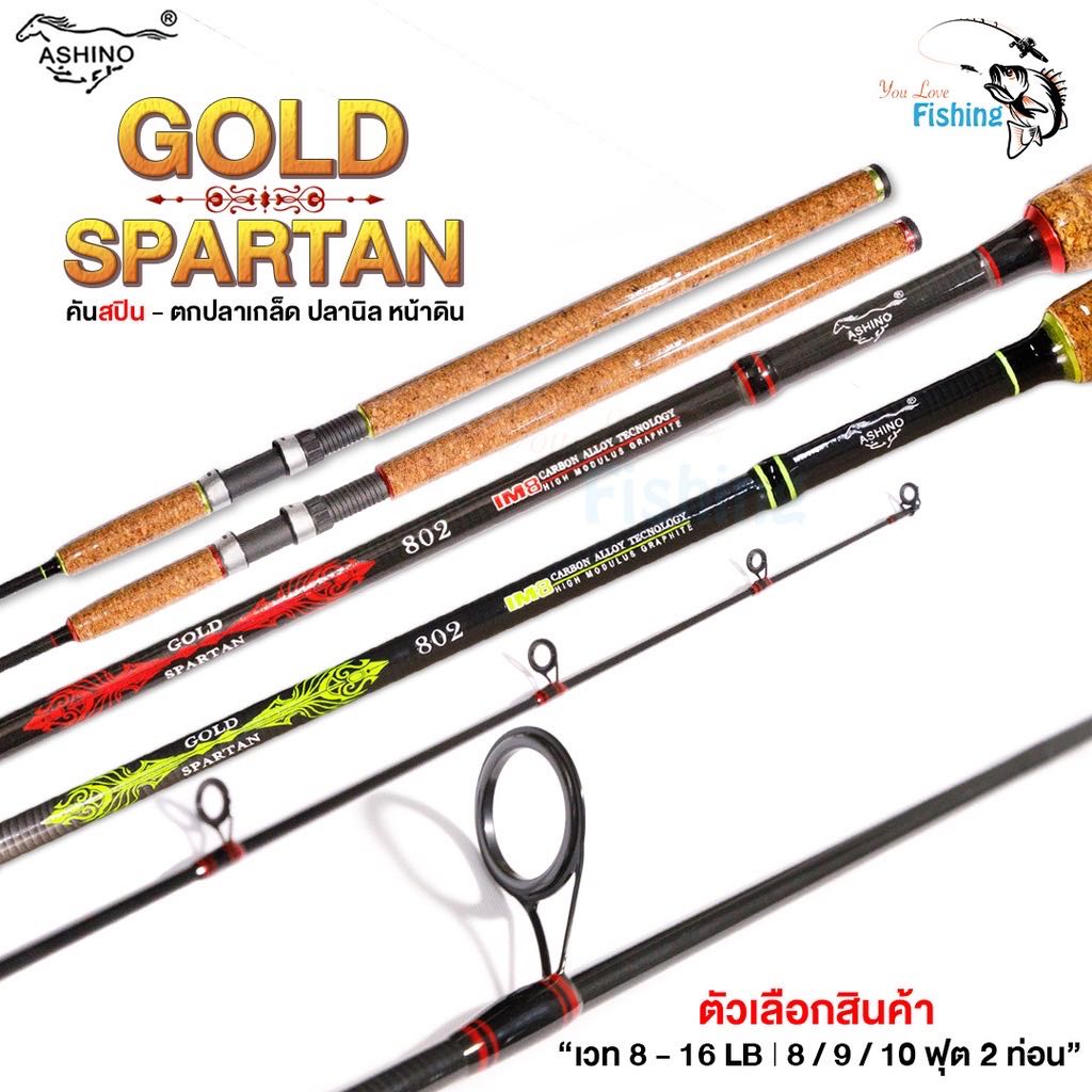 ￼คันสปินตกปลาเกล็ดปลานิล ASHINO GOLD SPARTAN (อาชิโน่-โกลด์สปาตัน) รีลซีทฟูจิ เวท 8-16 ด้ามก๊อก