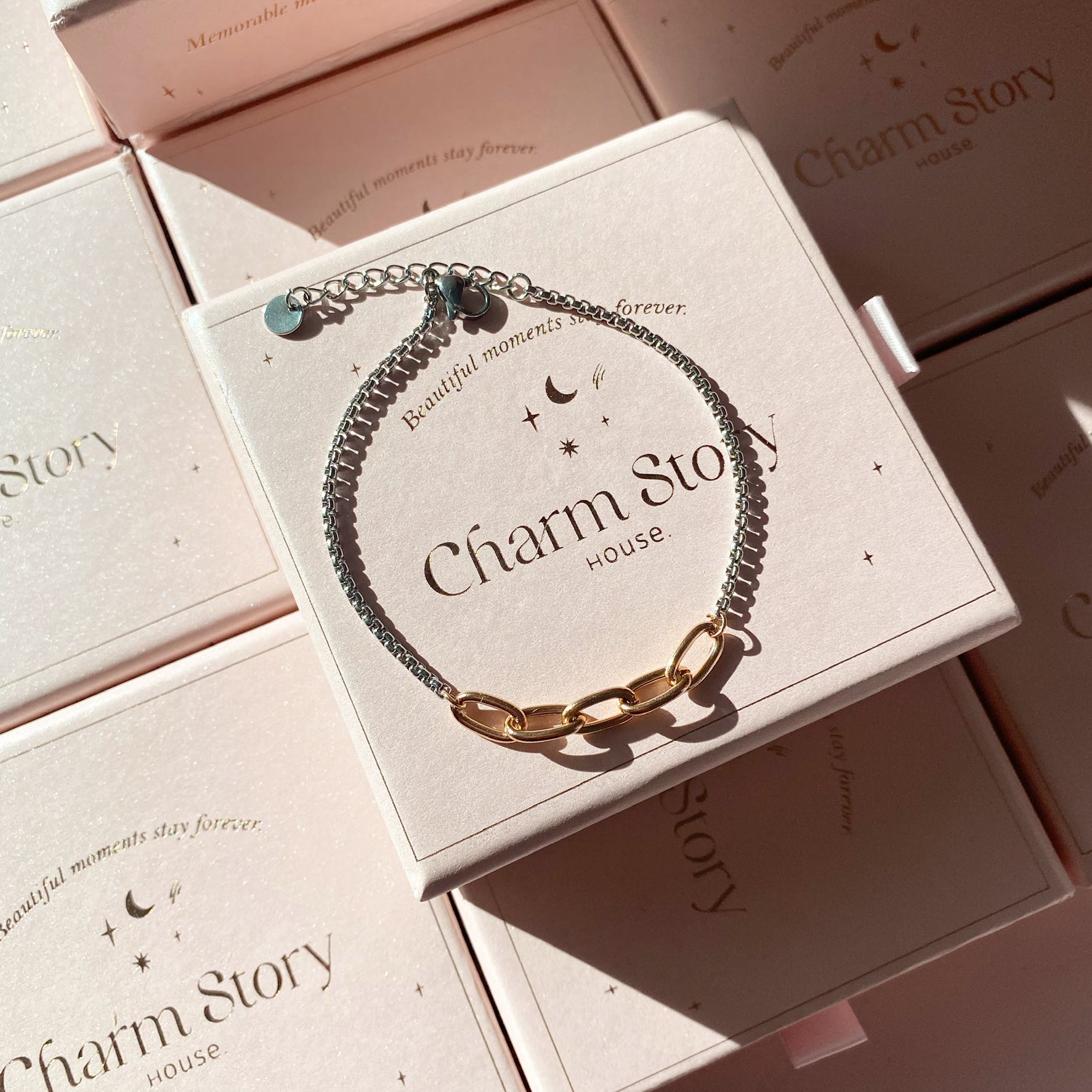 Eva Rosegold  & charm bracelet 