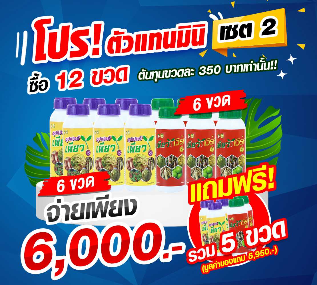 ตัวแทนมินิ🌽เซต2 ~เสริมความแข็งแรง+เร่งดอกผล