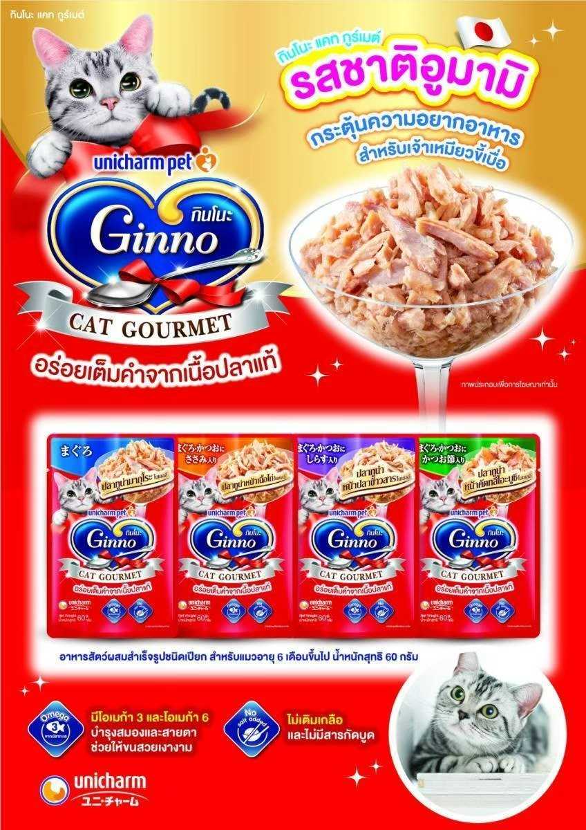 (ยกลัง) Ginno Cat Gourmet กินโนะ อาหารแมวแบบเปียก 60 g (ลัง 48 ซอง)