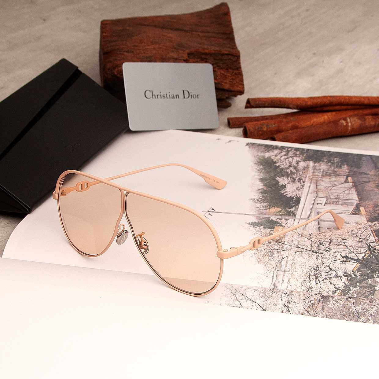 DIORCAMP : V1V SIZE 66 MM. (NUDE)