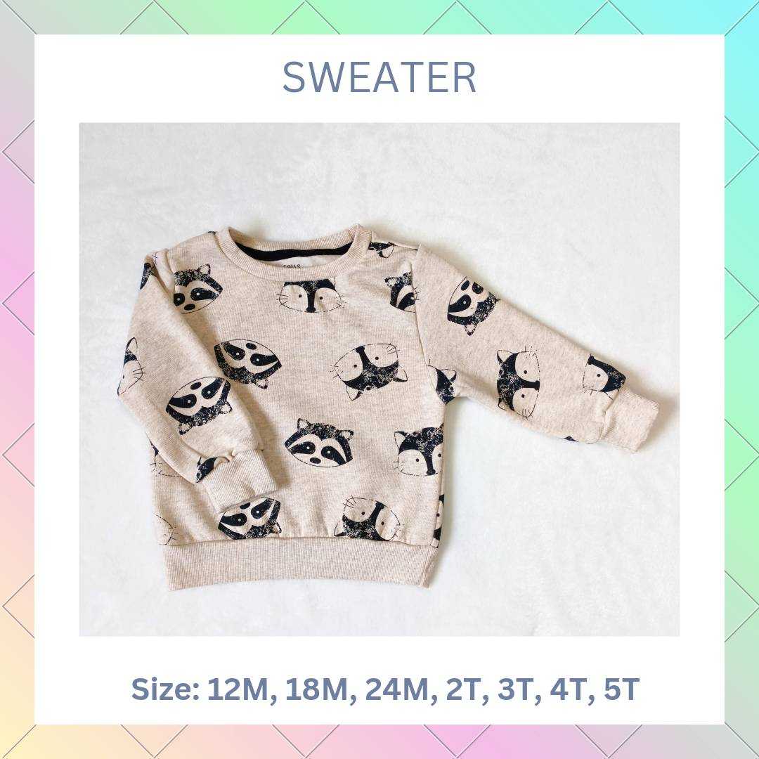 Sweater Falls Creek Kids เสื้อกันหนาวแขนยาว สีครีมลายแร็คคูน