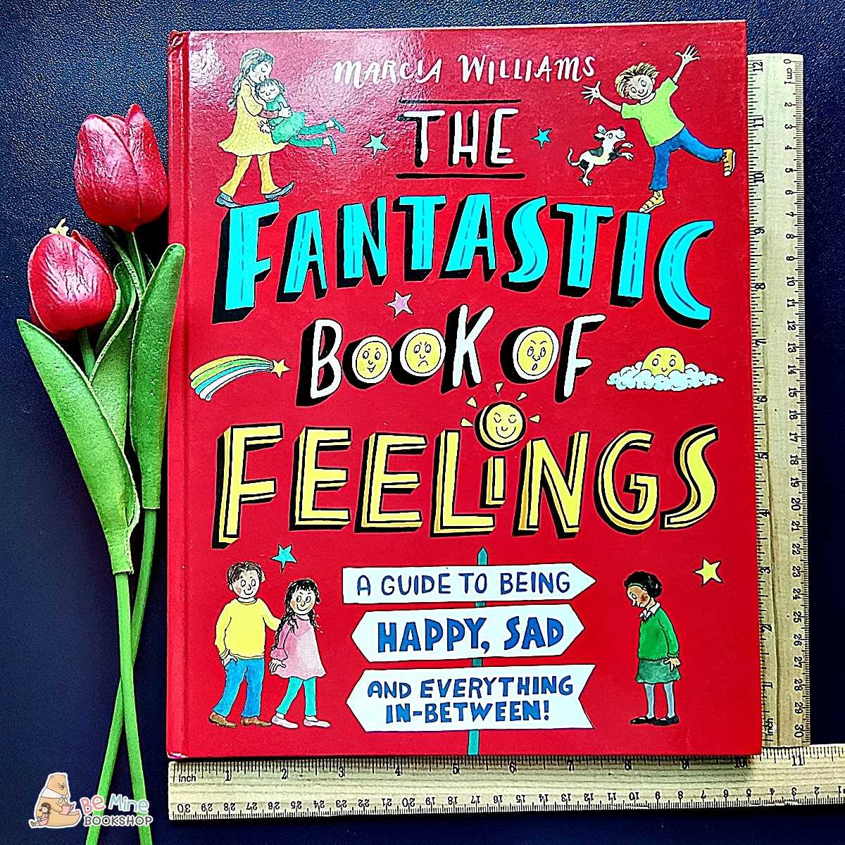 ║The Fantastic Book of Feelings║★มือสอง ★ปกแข็ง