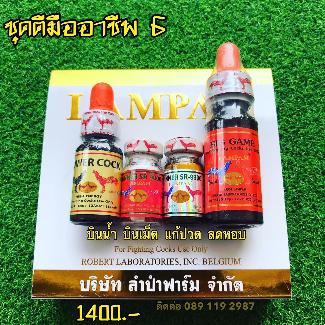 ชุดตีมืออาชีพ 6