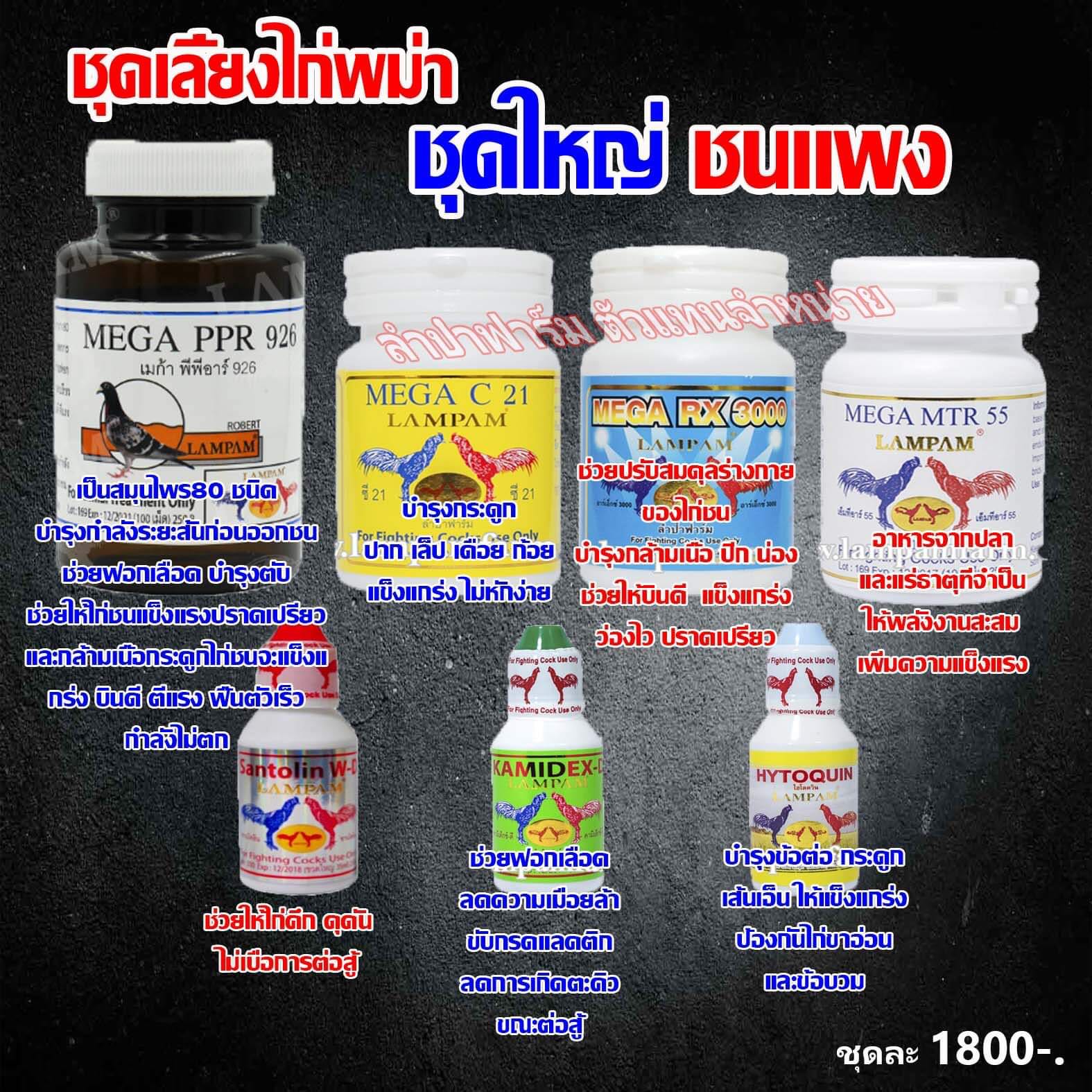 ชุดเลี้ยงพม่า ชุดใหญ่ ชนแพง