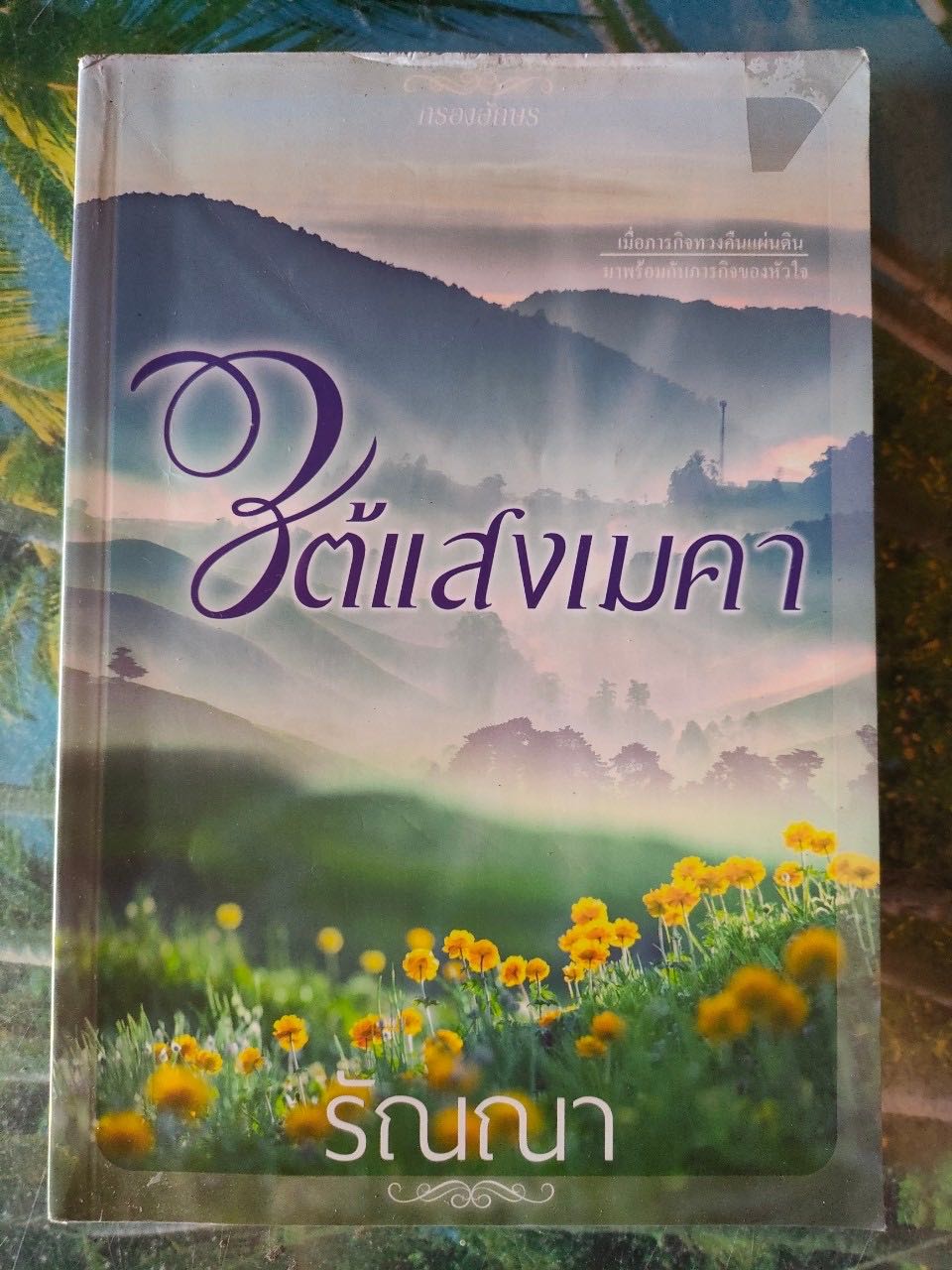 ใต้แสงเมคา สภาพเช่า 60 บาท