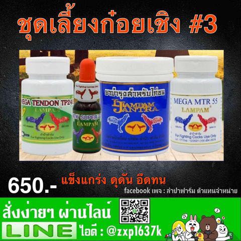 ชุดเลี้ยง ก๋อยเชิง 3