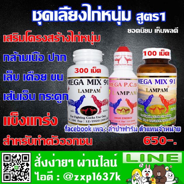 ชุดเลี้ยงไก่หนุ่ม สูตร1
