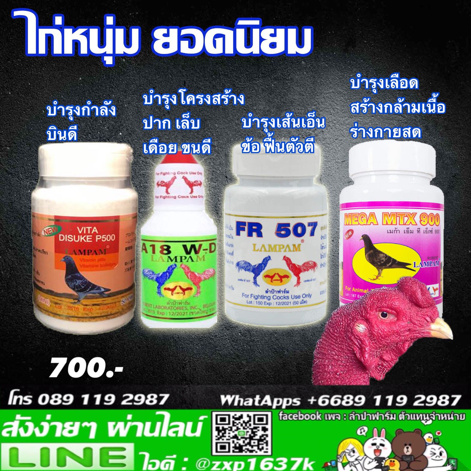 ชุดเลี้ยง ไก่หนุ่ม ยอดนิยม