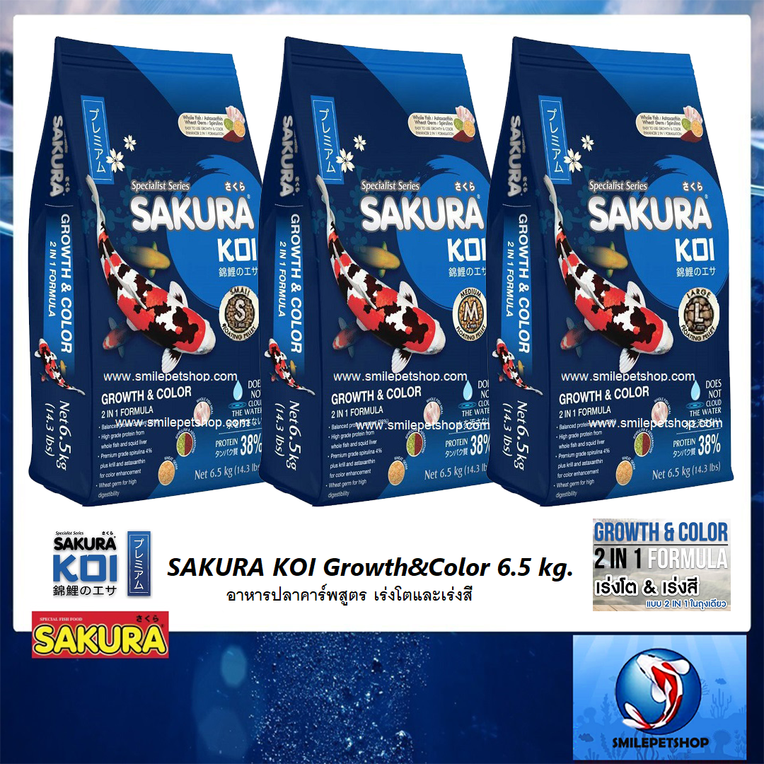 SAKURA KOI Growth&Color 6.5 kg. (อาหารปลาคาร์พสูตร เร่งโตและเร่งสี)