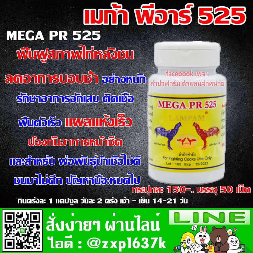 แผลหลังชน เมก้า พีอาร์525
