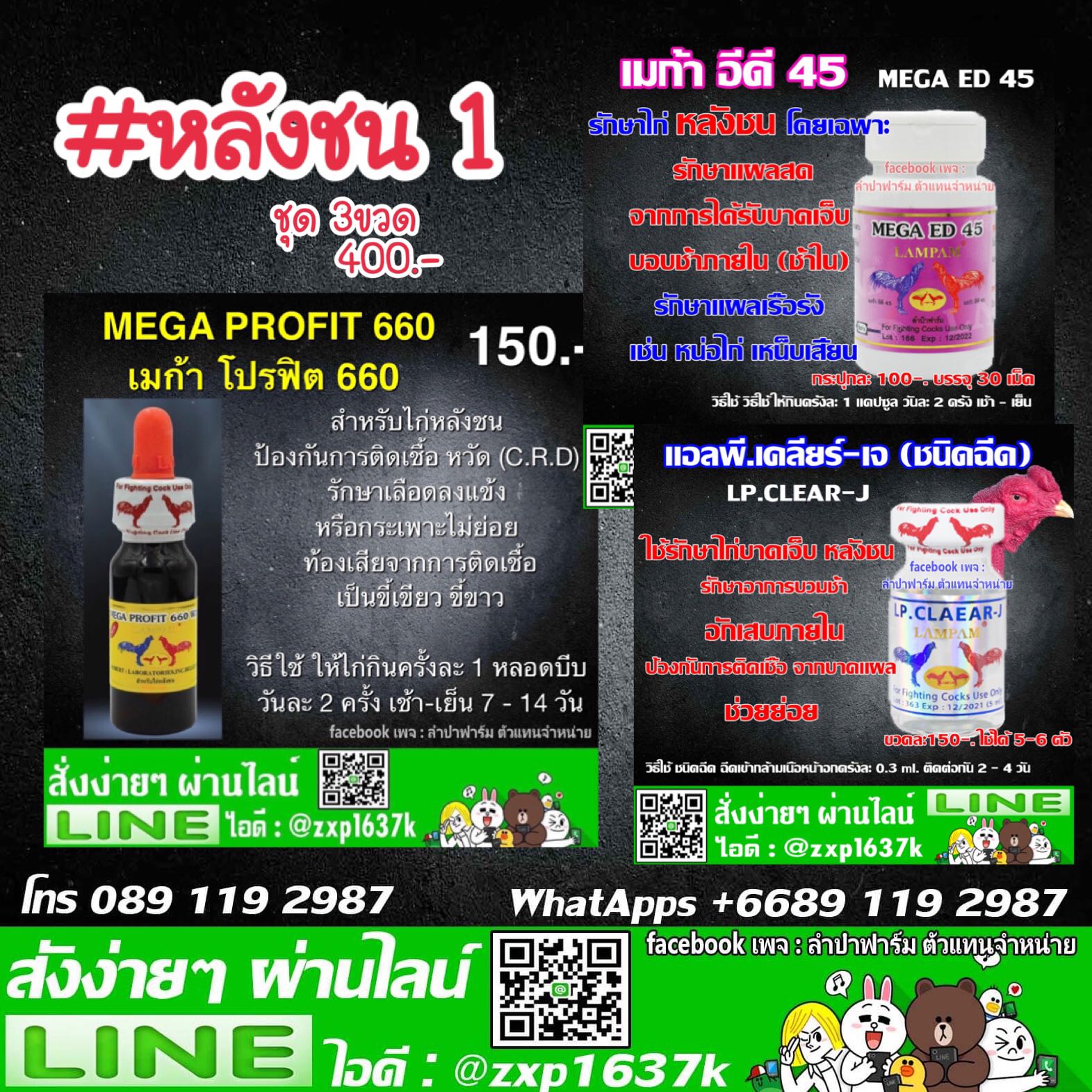 หลังชน 1