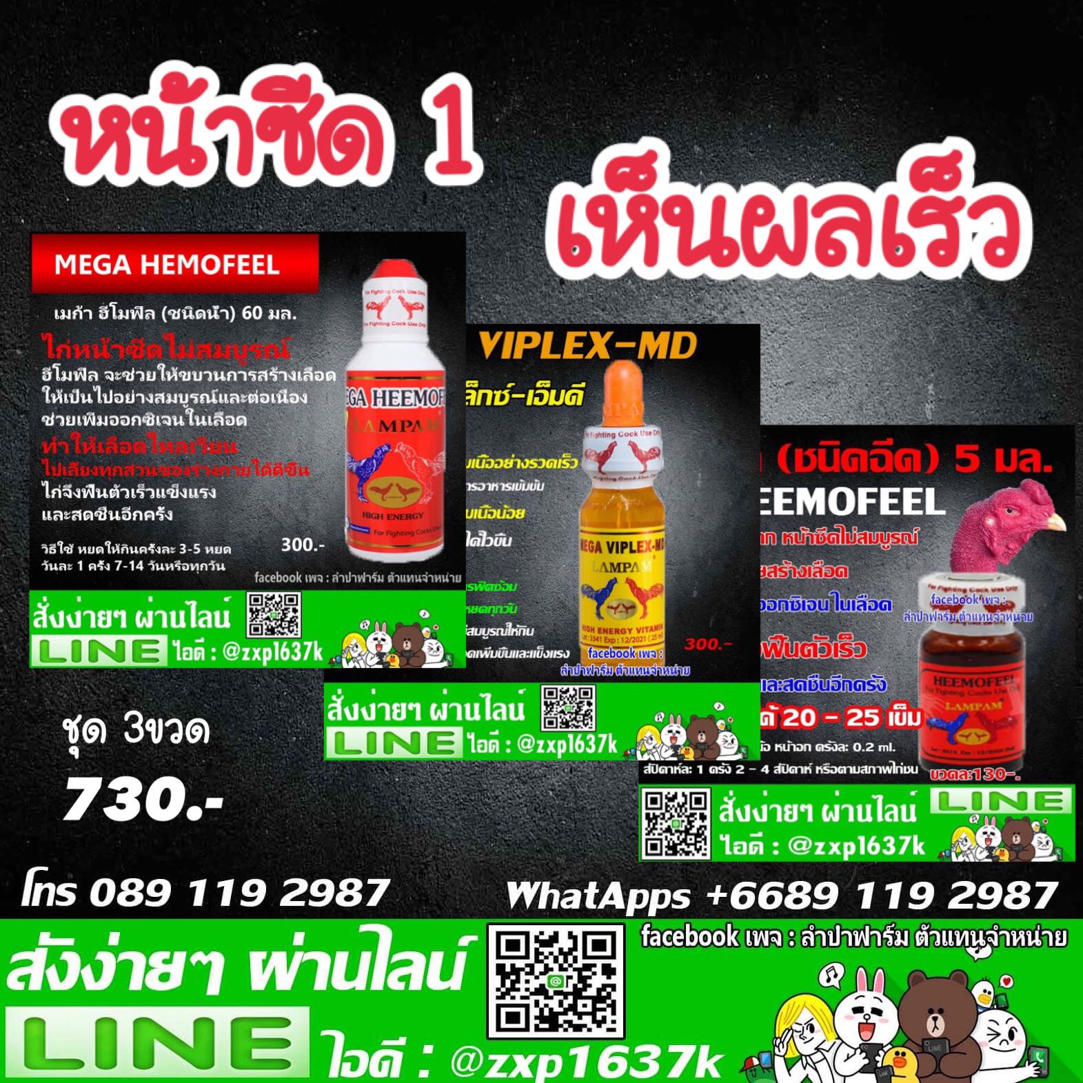 ชุดหน้าซีด 1