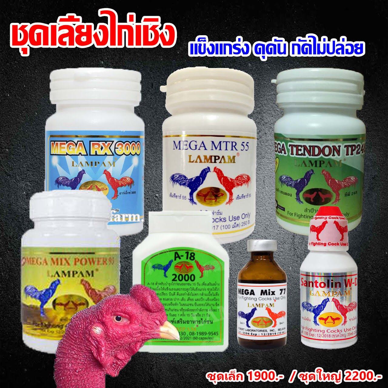 ชุดเลี้ยงไก่เชิง ชุดใหญ่