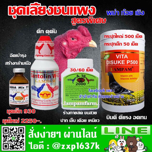 ชุดเลี้ยงชนแพง สูตรชัยยันต์