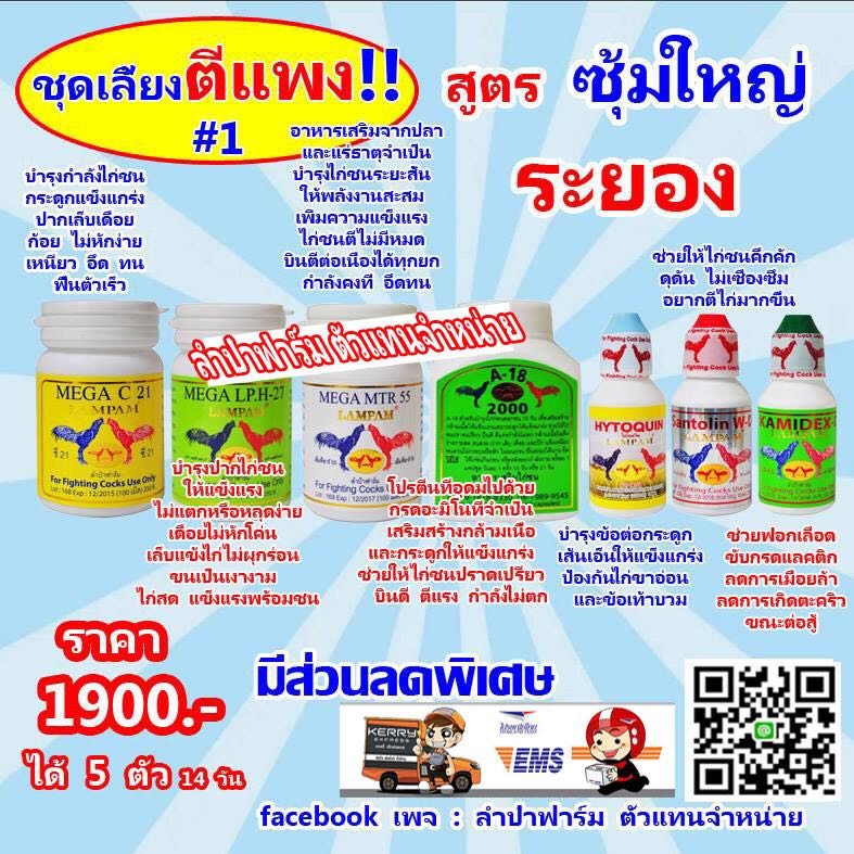 ชุดเลี้ยง ตีแพง 1