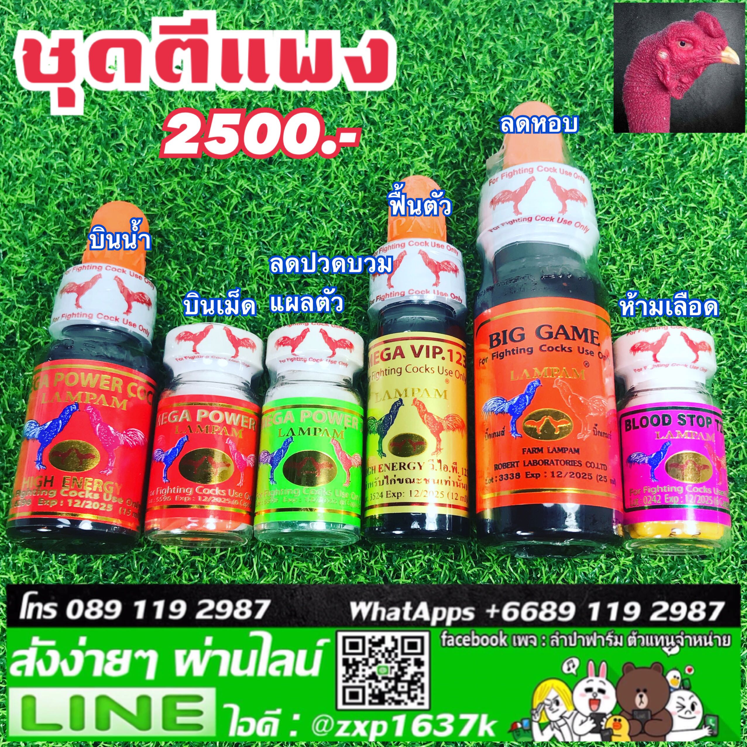 ชุดตีแพง 2500 