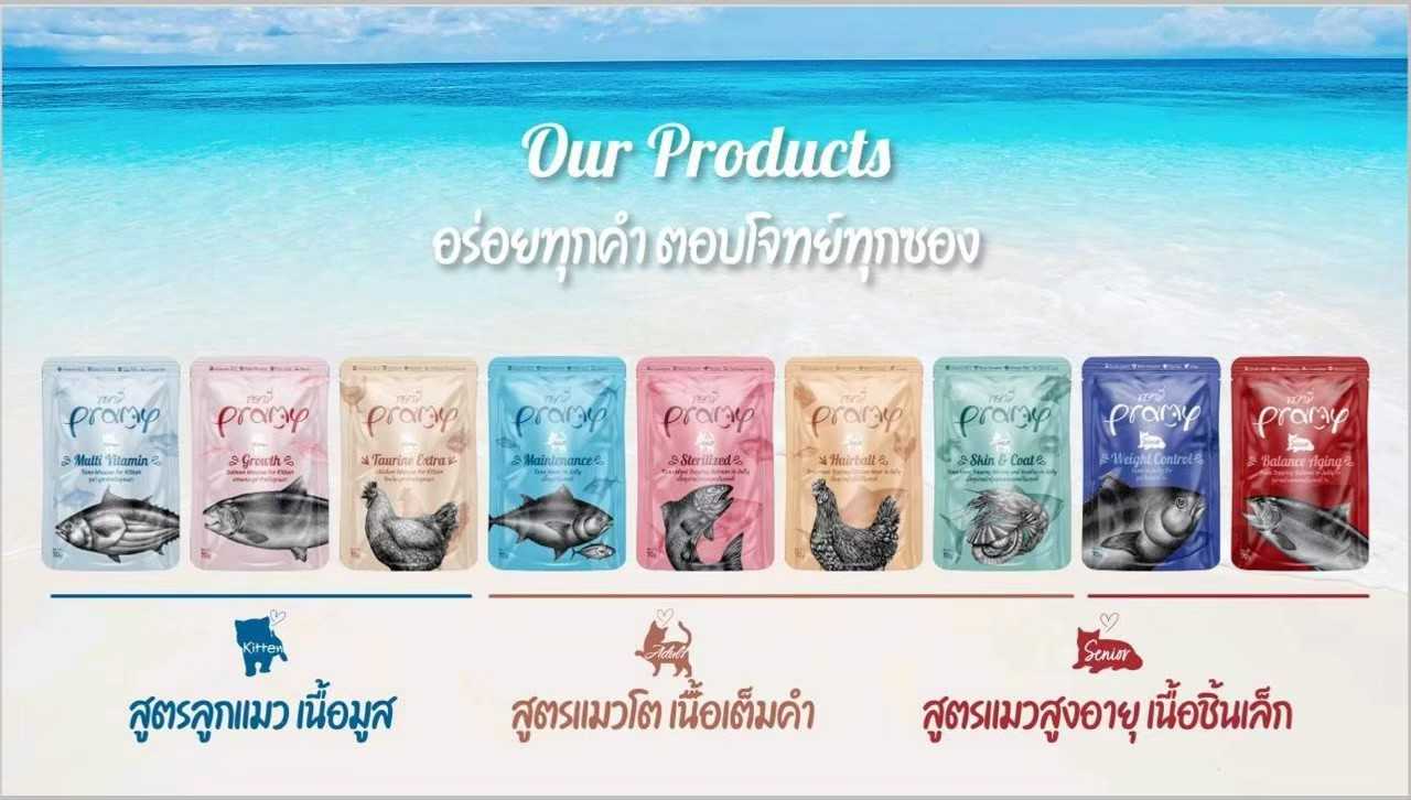 (ยกโหล) Pramy พรามี่ อาหารเปียกแมว สุขภาพดี ขนาด 70 กรัม (โหล 12 ซอง)