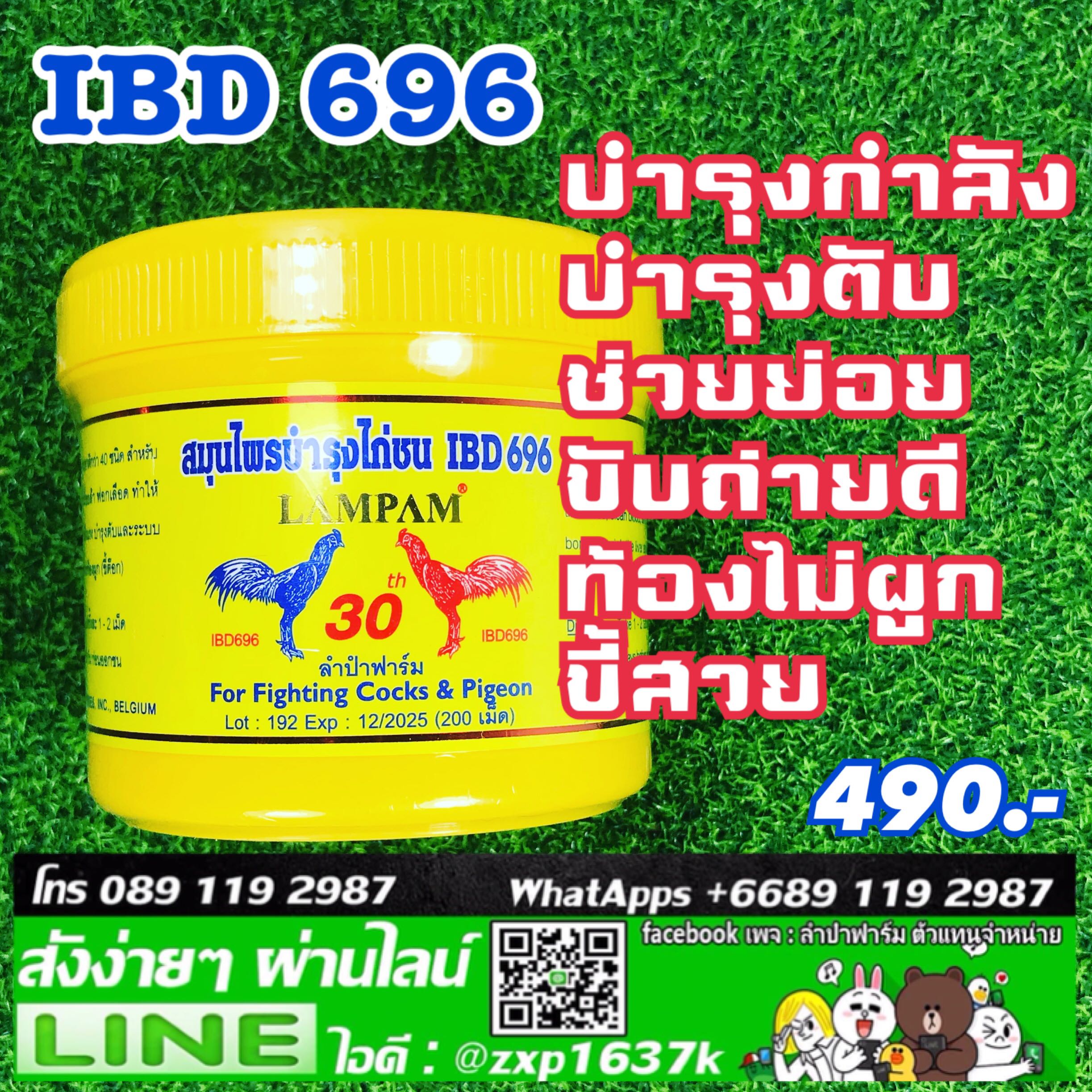ไอบีดี 696 กระปุกใหญ่ 200 เม็ด