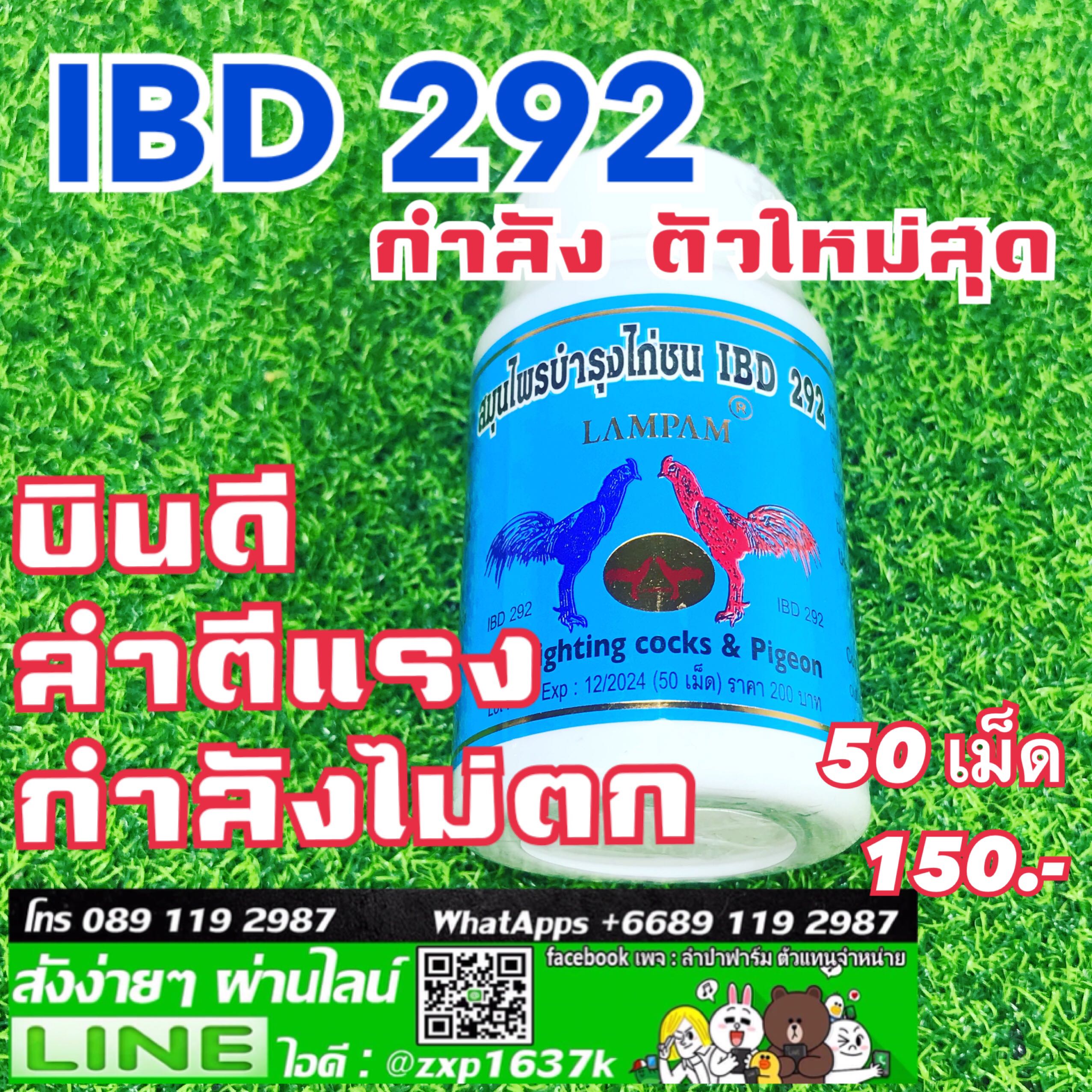 ไอบีดี 292 กระปุกเล็ก 50 เม็ด