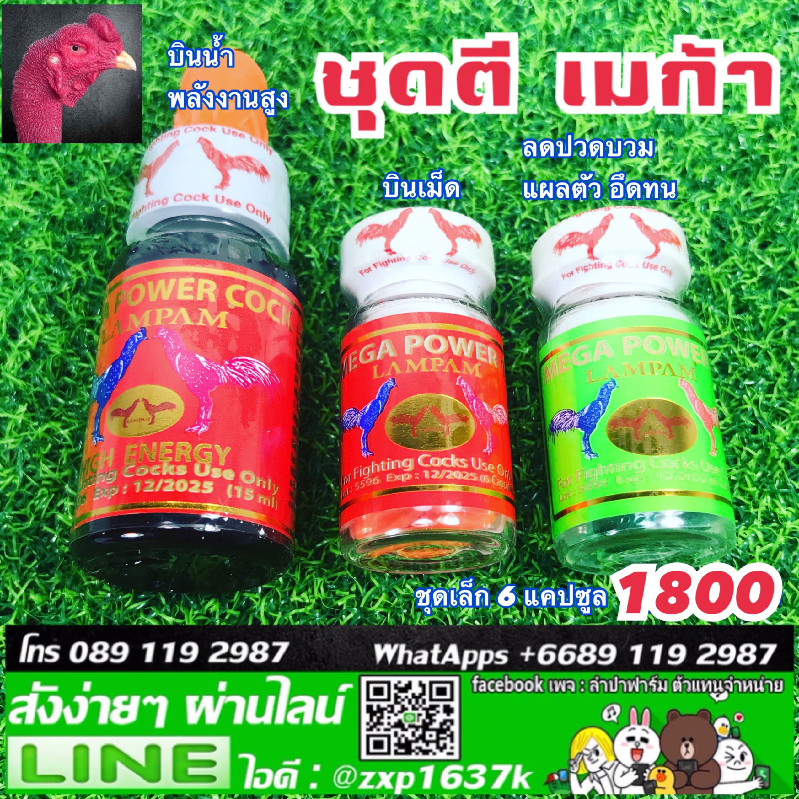 ชุดตี เมก้า ชุดเล็ด