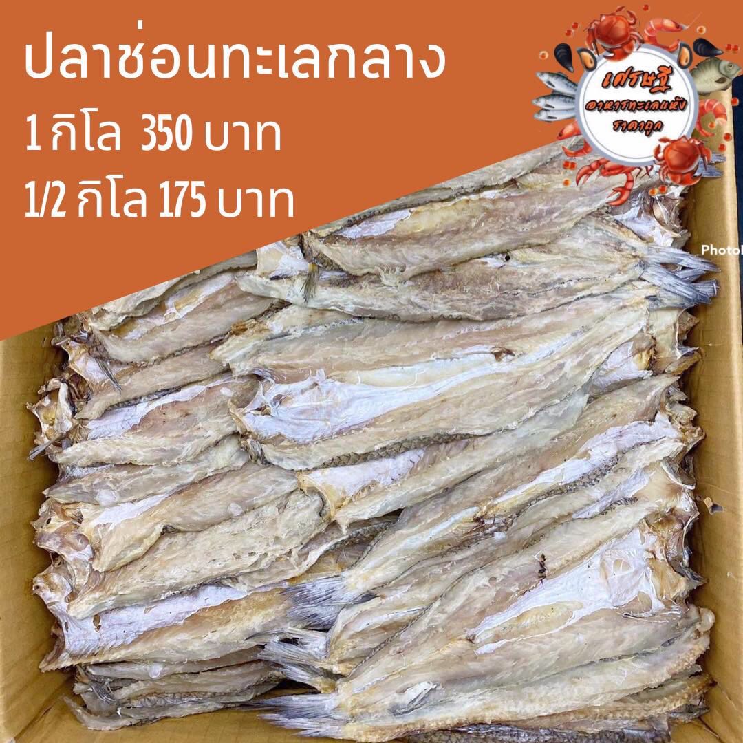 ปลาช่อนทะเลกลาง 1/2 กก.