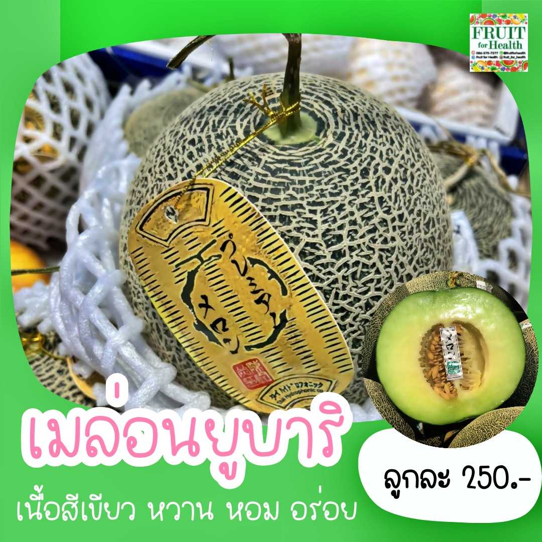 เมล่อนญี่ปุ่น สายพันธุ์ ยูบาริเนื้อสีเขียว (Green Yubari Melon imports from Japan)