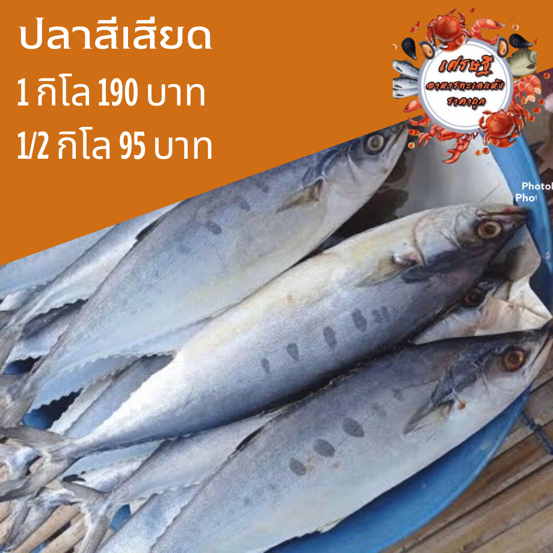 ปลาสีเสียดเค็ม 1/2 กก.