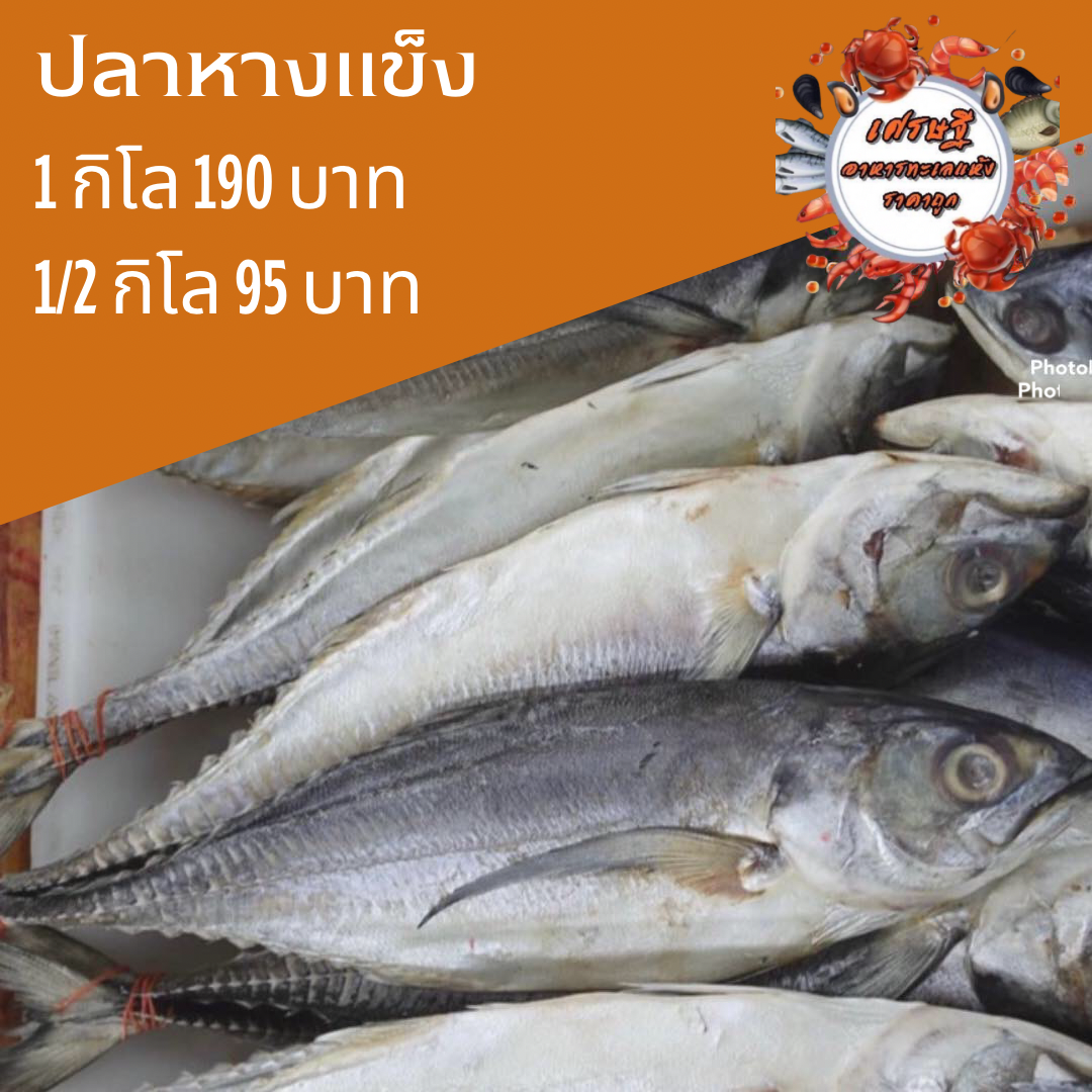 ปลาหางแข็งเค็ม 1/2 กก.