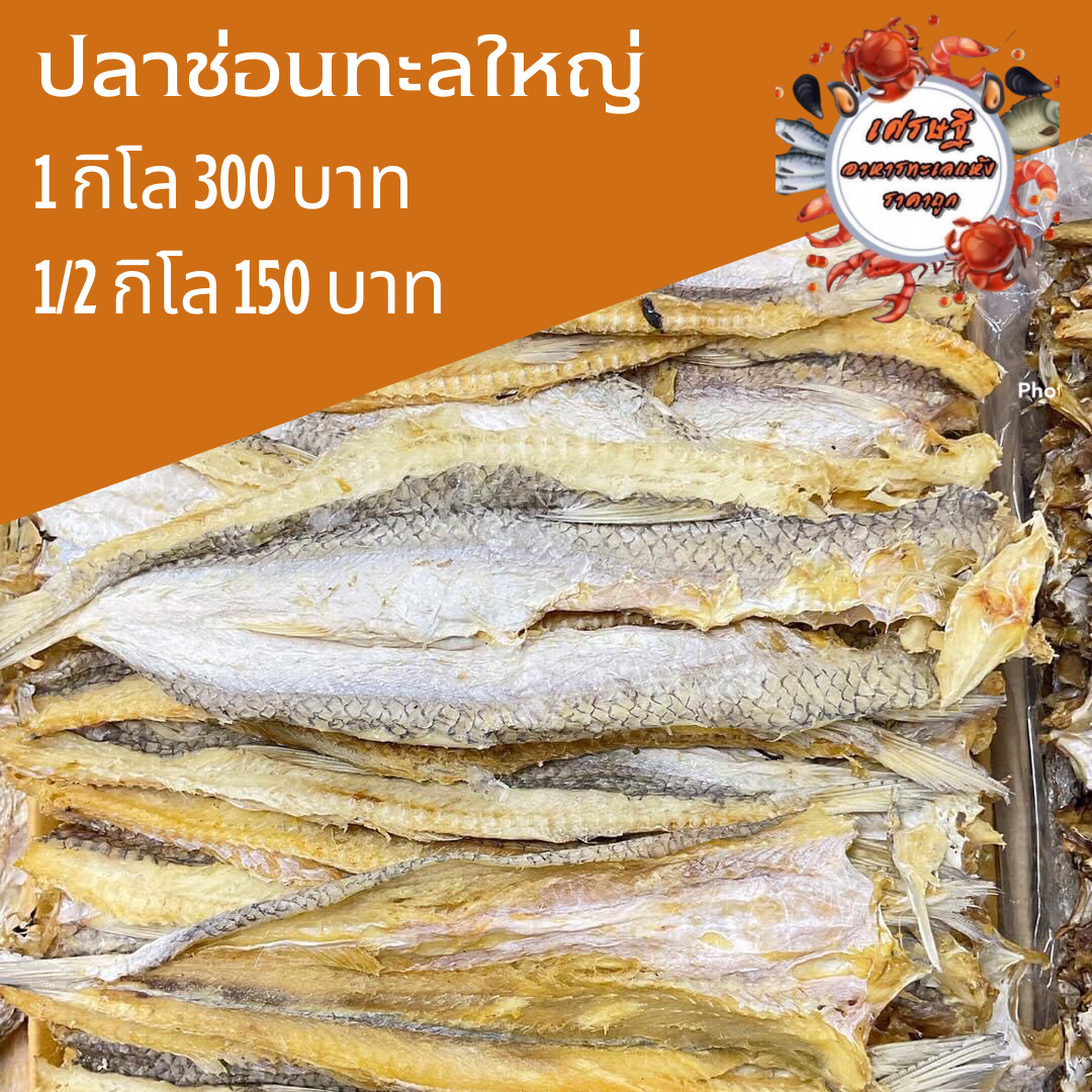 ปลาช่อนทะเลใหญ่ 1/2 กก 