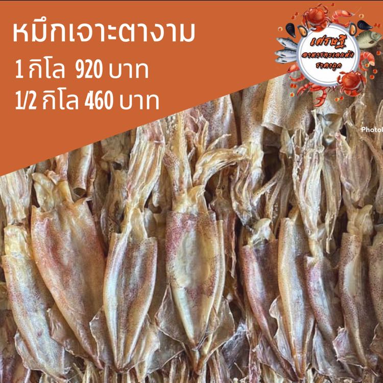 ปลาหมึกเจาะตางาม 1/2 กก.