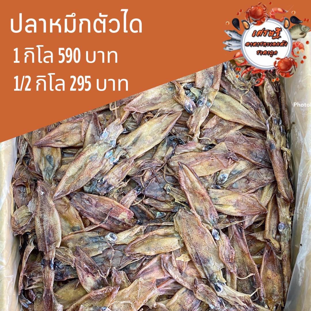ปลาหมึกตัวได 1/2 กก.
