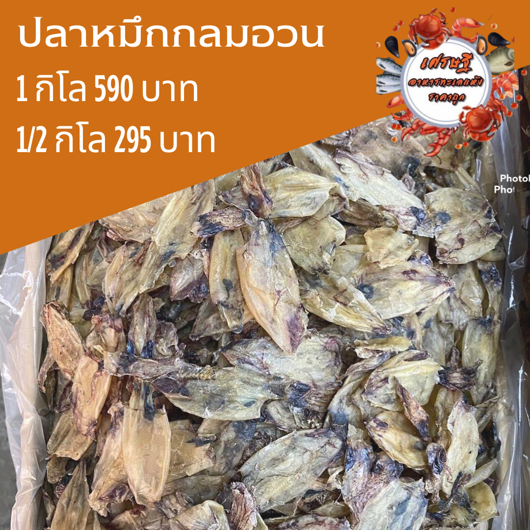 ปลาหมึกกลมอวน 1/2 กก.