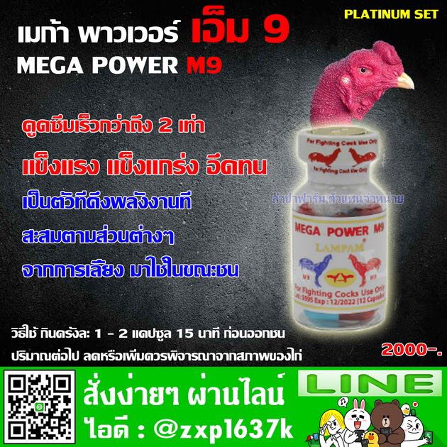 Mega power M9