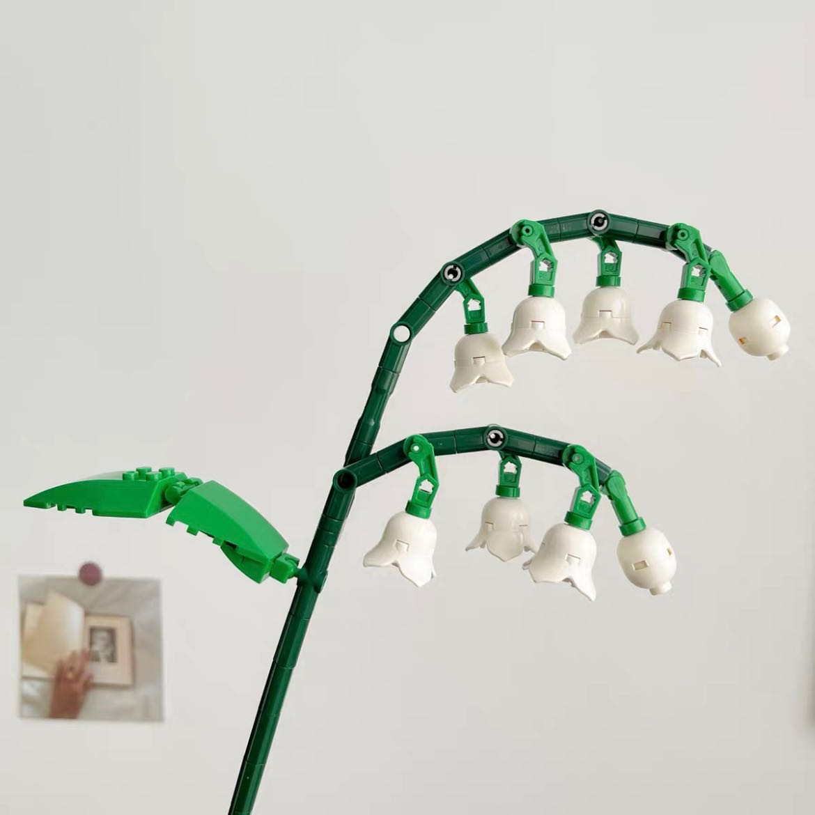 [Pre-order 10วัน] ดอกลิลลี่แห่งหุบเขา - Lily of the valley