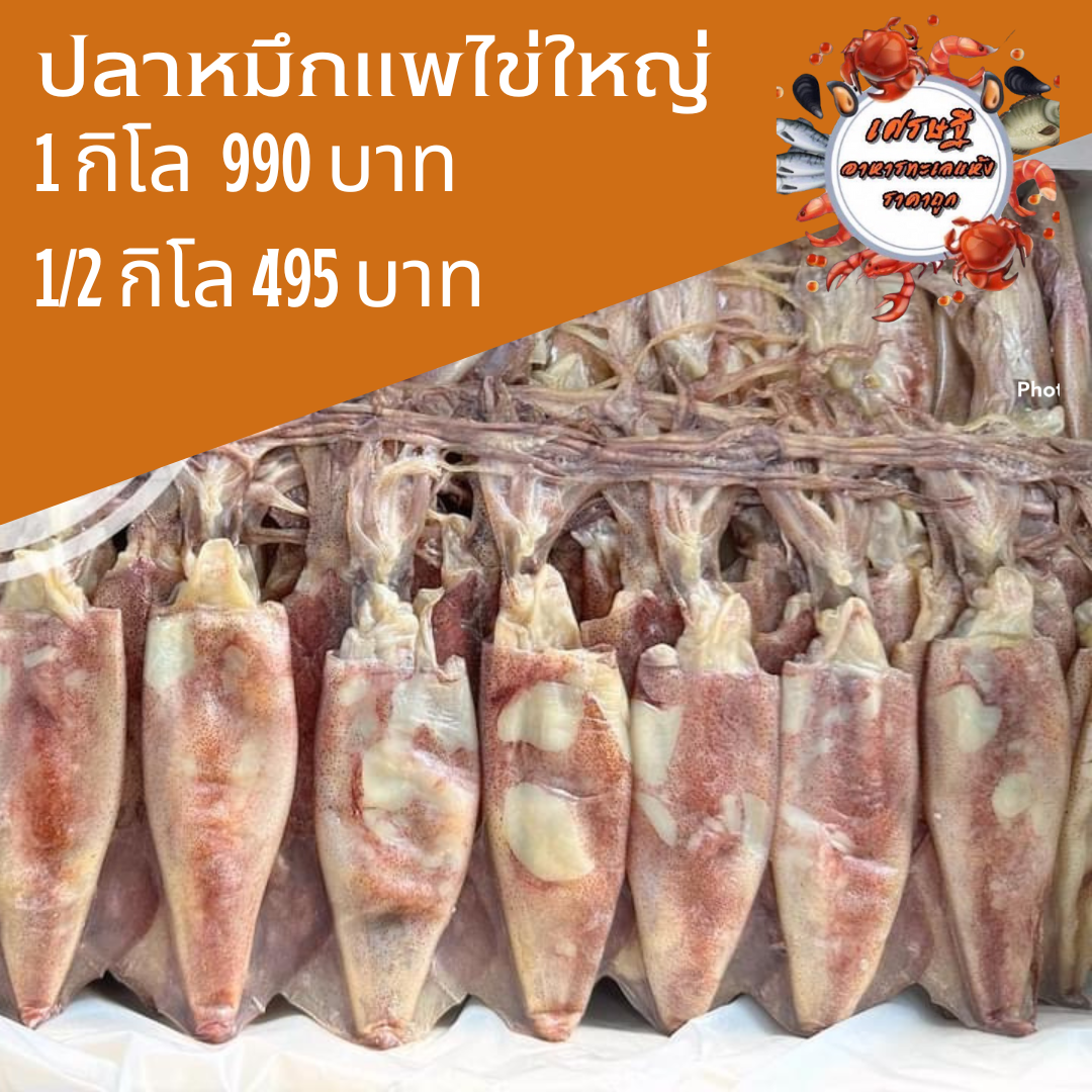 ปลาหมึกแพไข่ใหญ่ 1/2 กก.