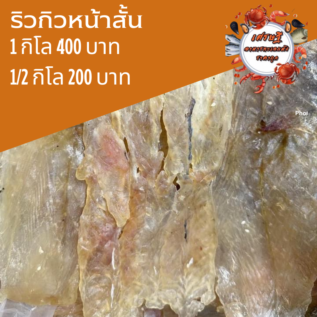 ปลาริวกิวหน้าสั้น 1/2 กก.