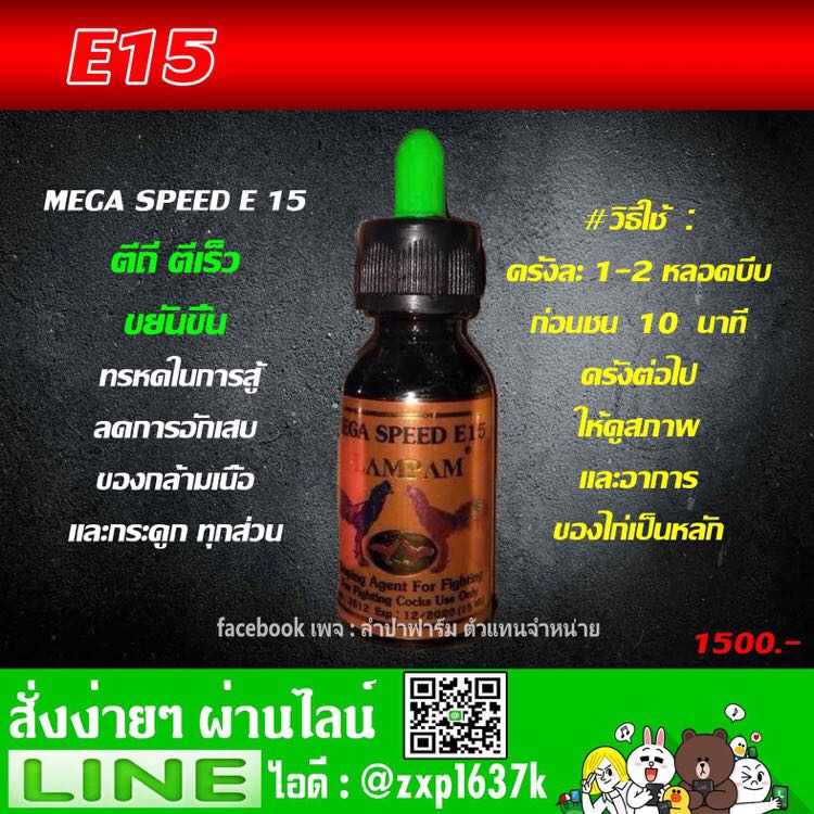 E 15 ตีถี่ ตีเร็ว ขยันบิน