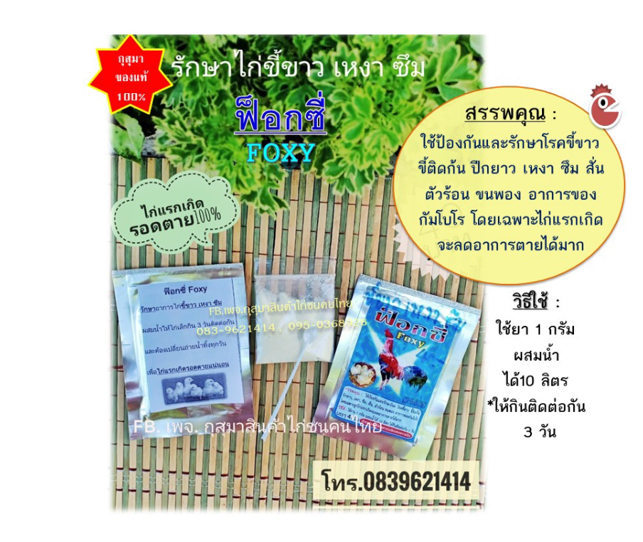 ยาฟ็อกซี่ Foxy ยารักษาโรค #ไก่ขี้ขาว #ไก่เหงา #ไก่ซึม #ไก่แรกเกิดให้รอดตาย
