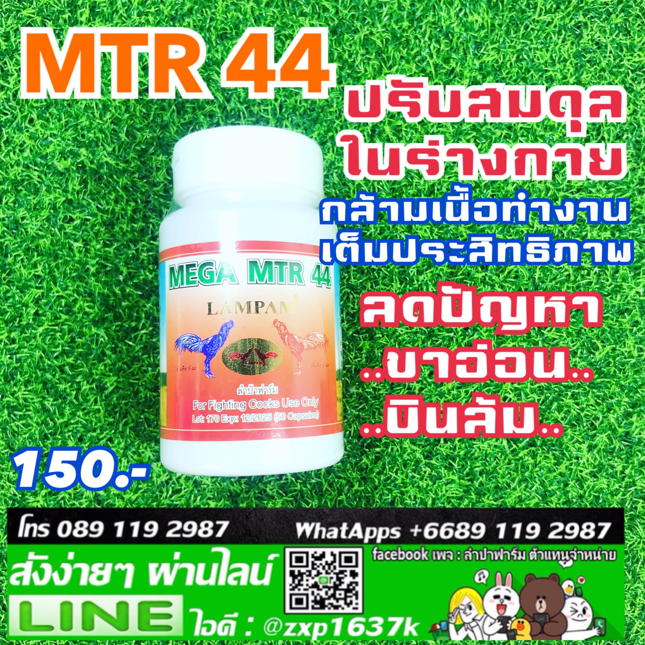 MTR 44