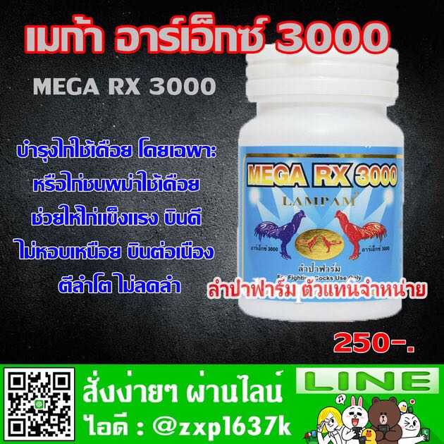 RX 3000