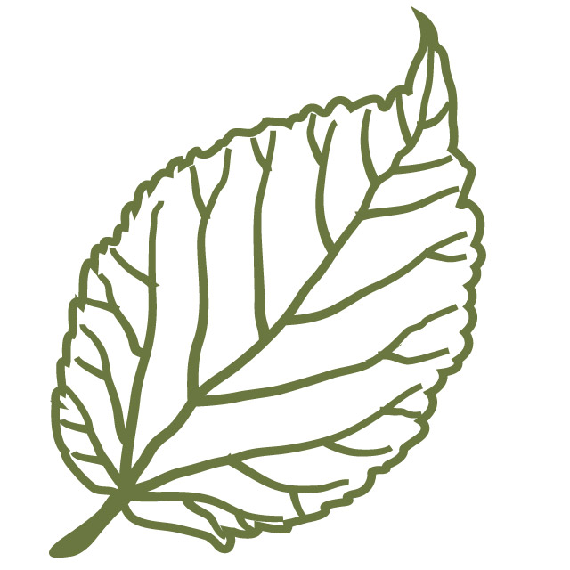An Image