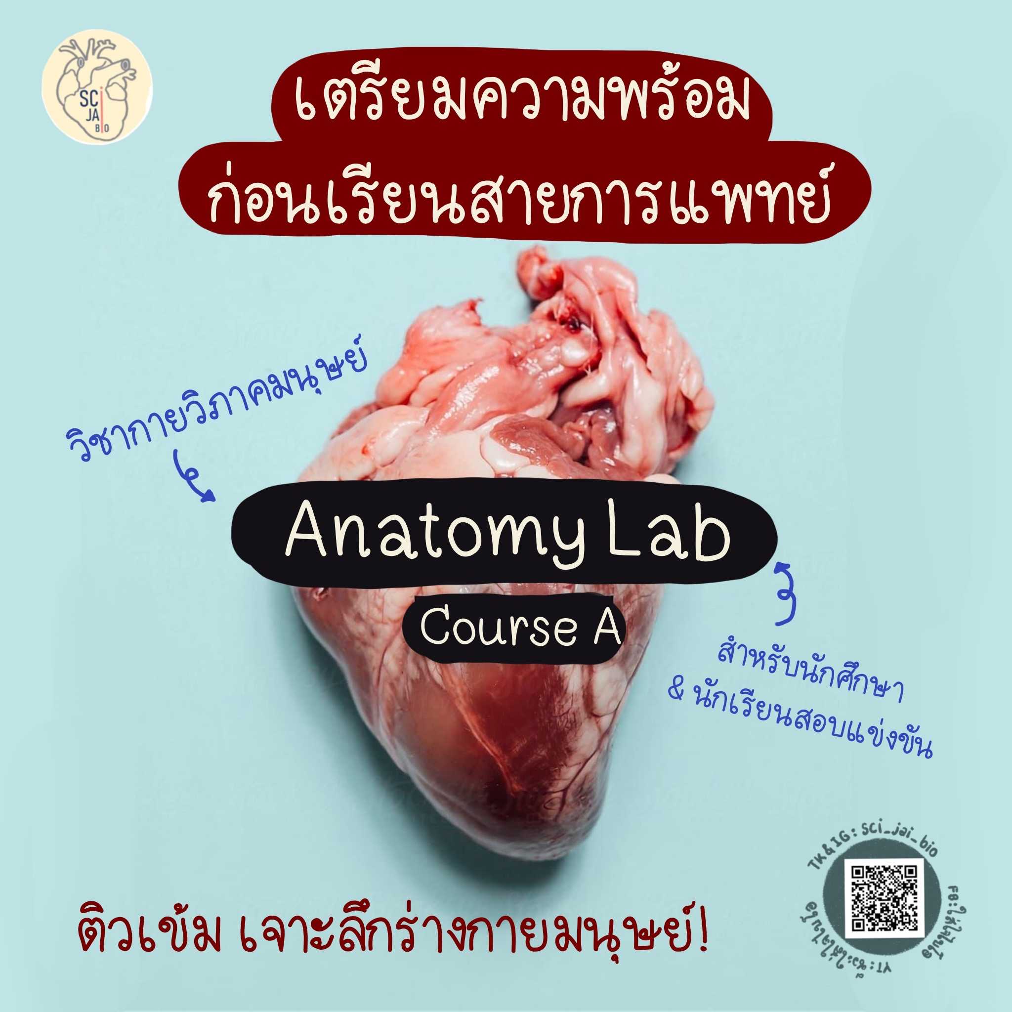 คอร์สเรียนกายวิภาคศาสตร์มนุษย์ คอร์ส A: anatomy lab