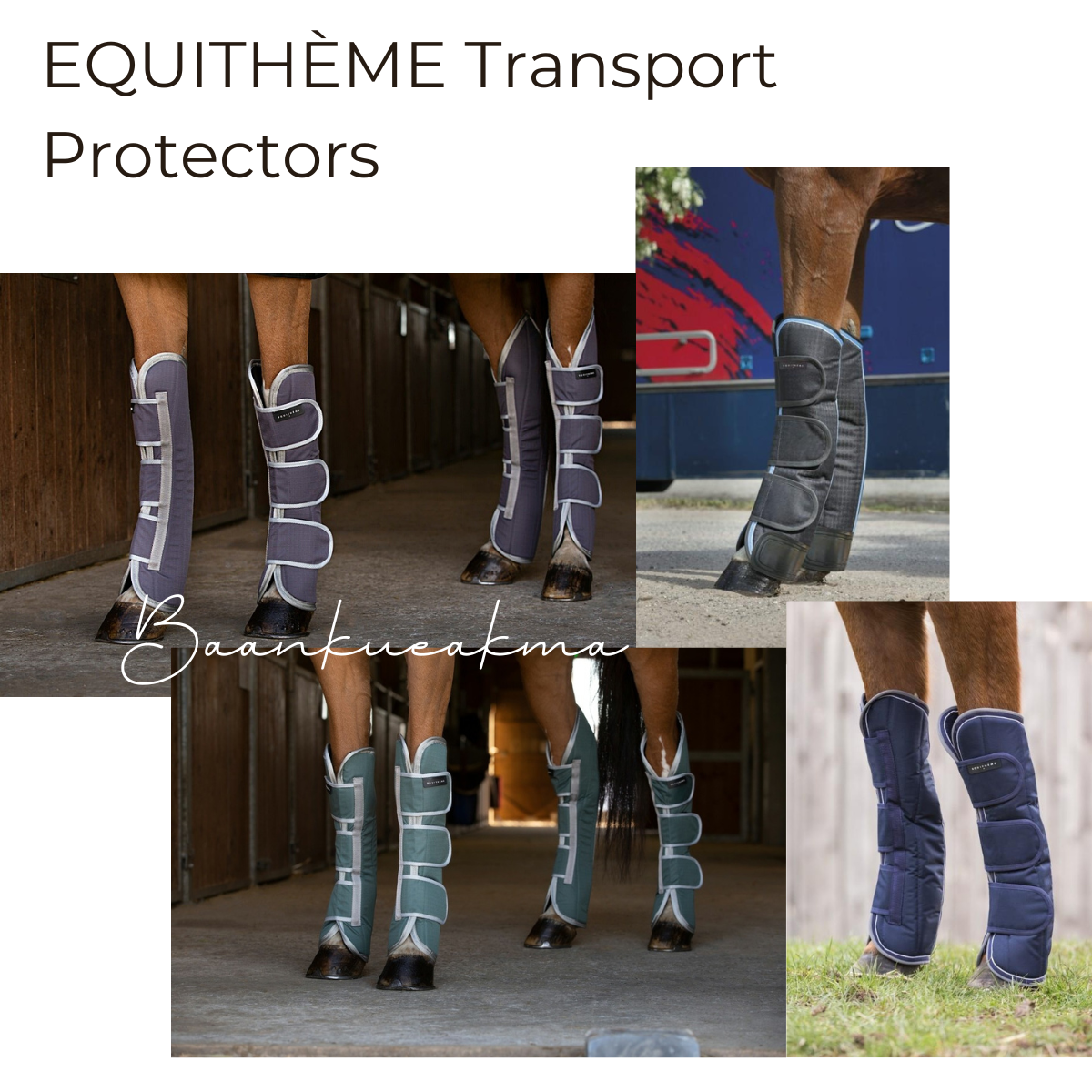 บู๊ทขาม้าสำหรับเดินทาง - EQUITHÈME Shipping Boots